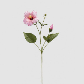 Hibisco Rosa  - 74cm